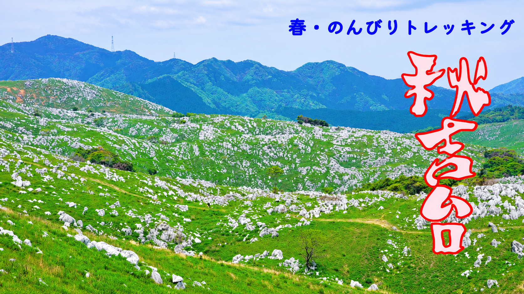 石灰岩が点在する春の秋吉台（山口県美祢市）