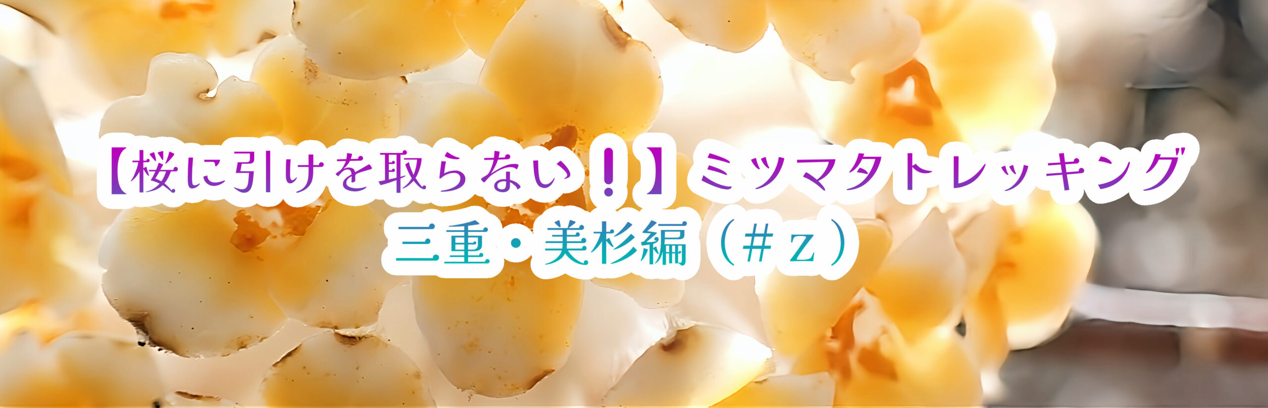 ミツマタトレッキング