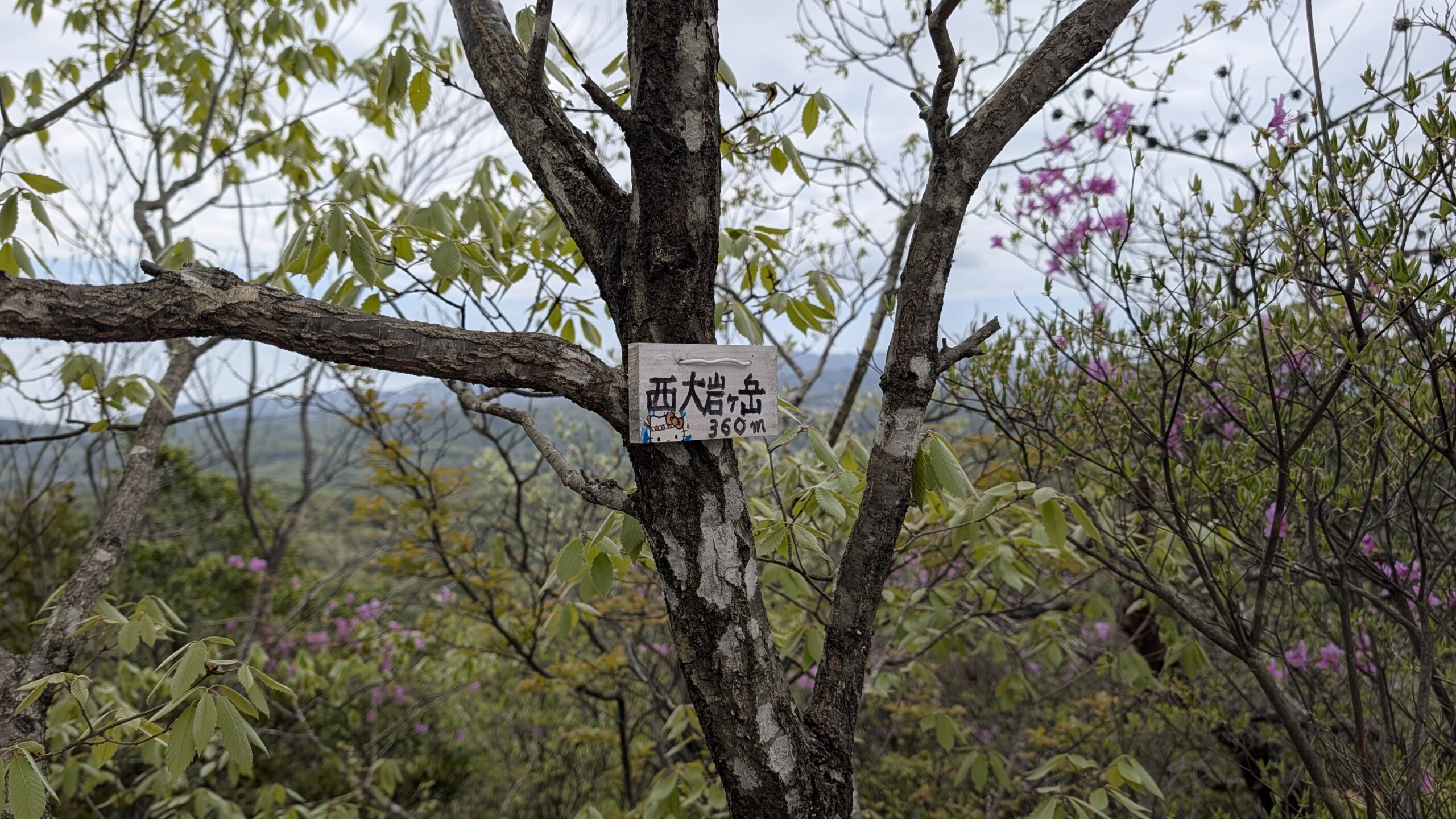 西大岩岳❗️