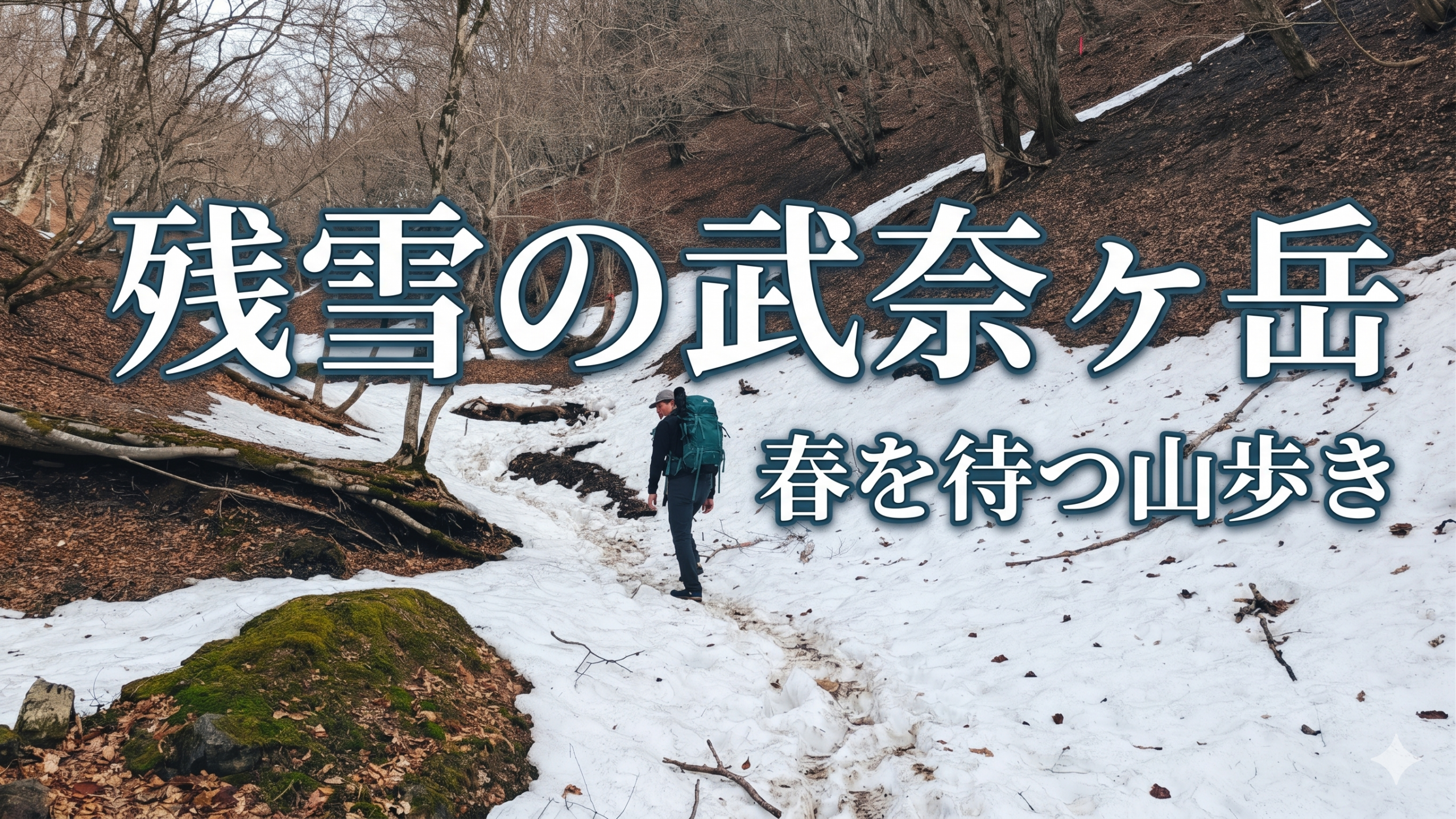 武奈ヶ岳_サムネイル