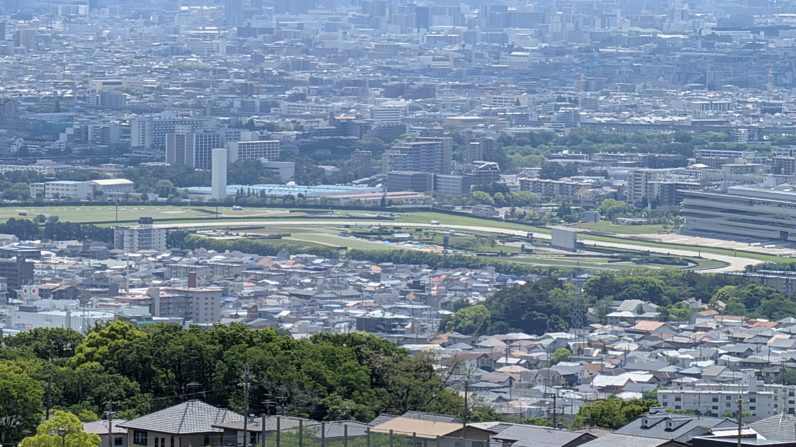 阪神競馬場