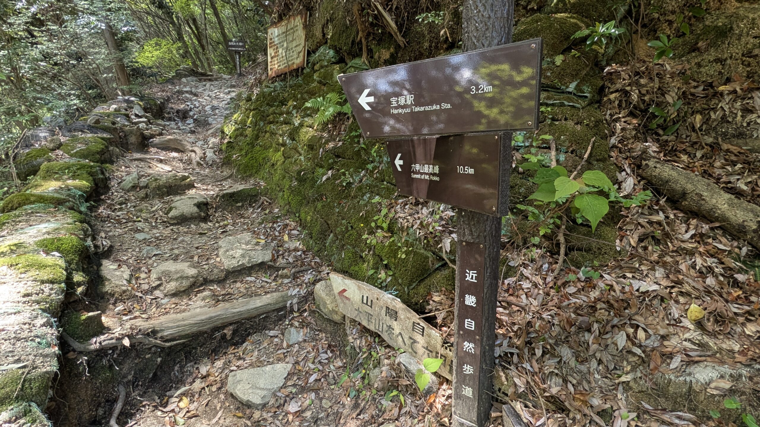 登山道へ
