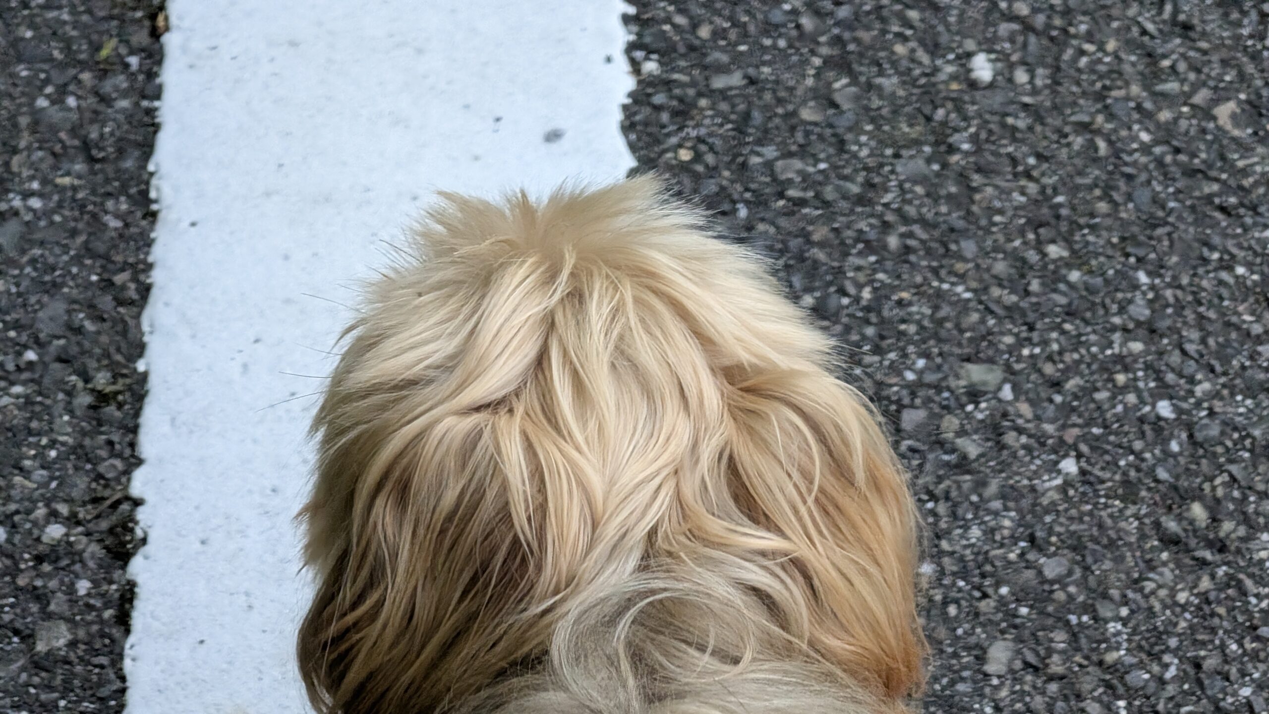 ヘビメタのにいちゃん