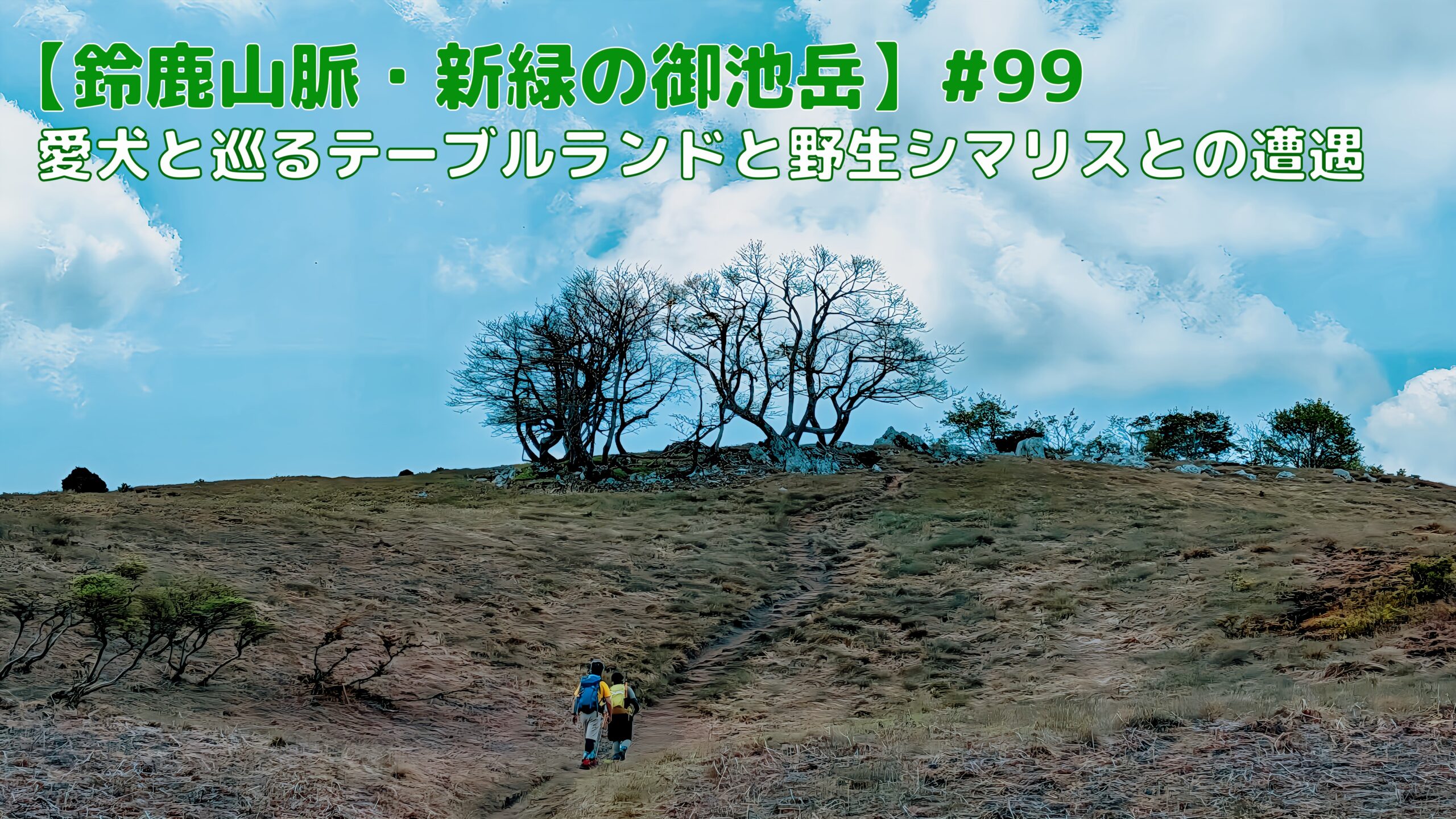 サムネイル