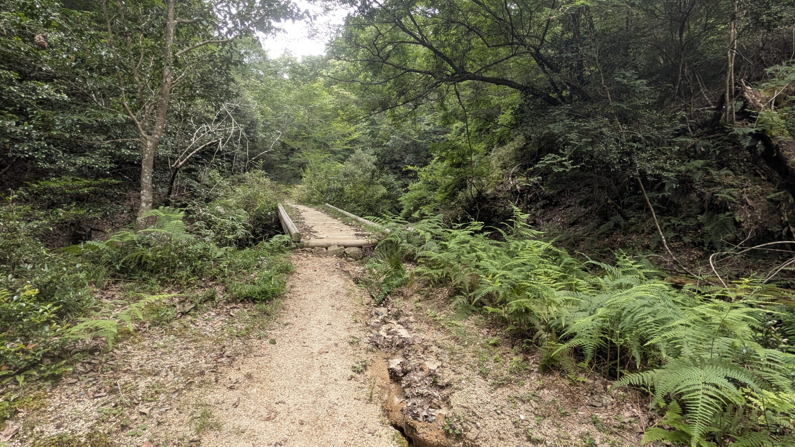 荒れた路面