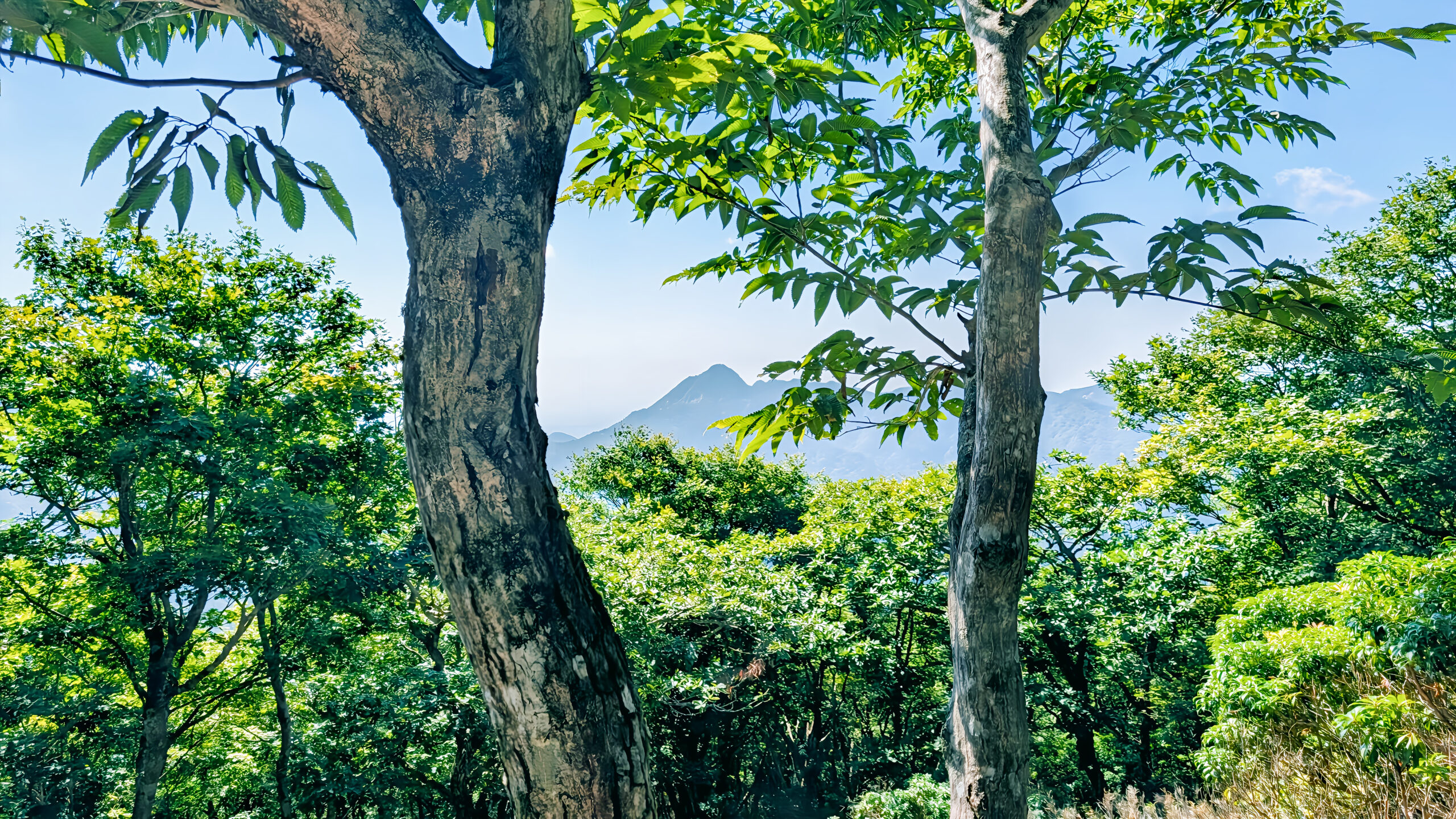 鎌ヶ岳_2