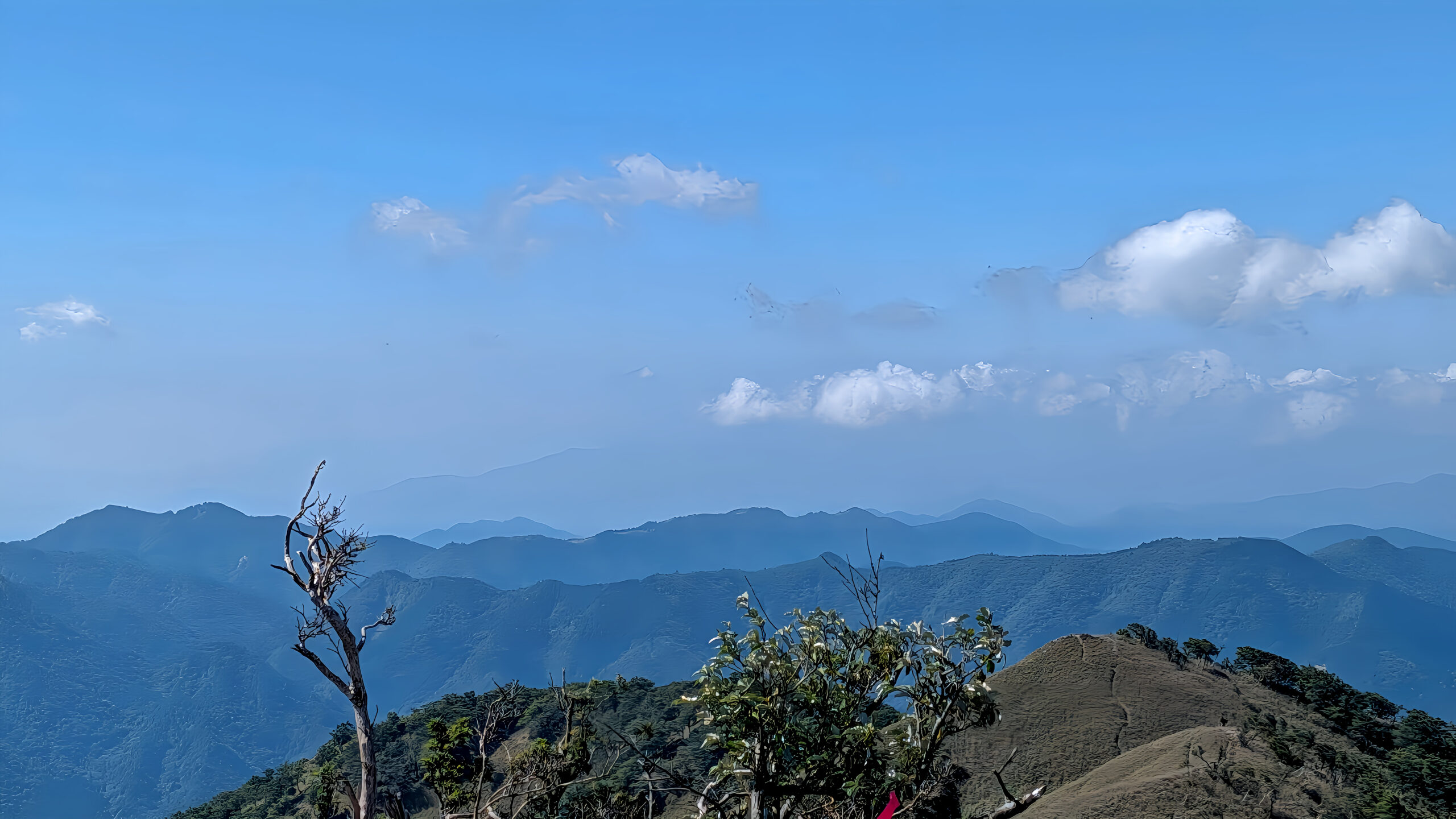 遠くに大峰山脈or台高山脈