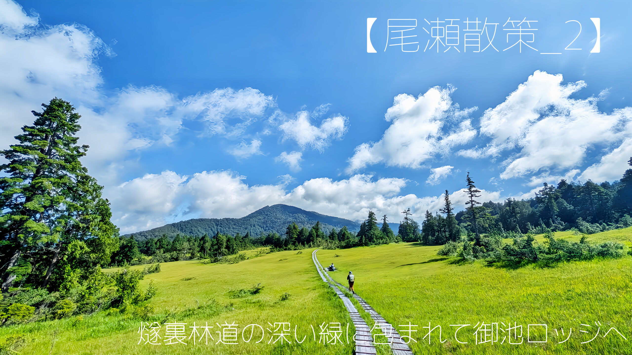尾瀬ヶ原越しの至仏山